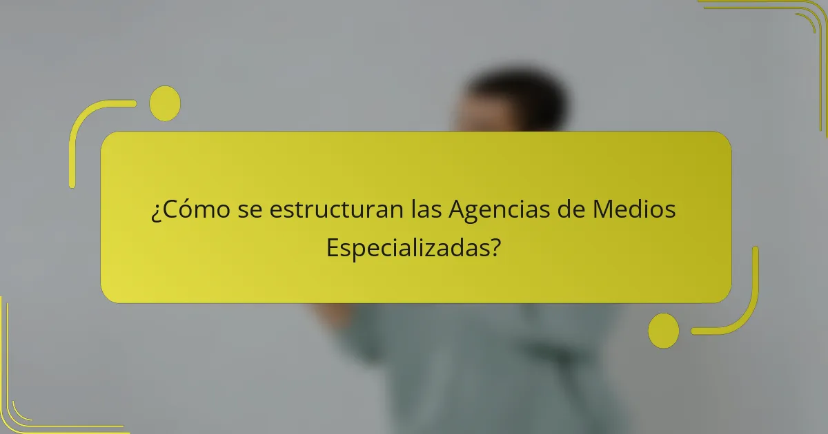 ¿Cómo se estructuran las Agencias de Medios Especializadas?